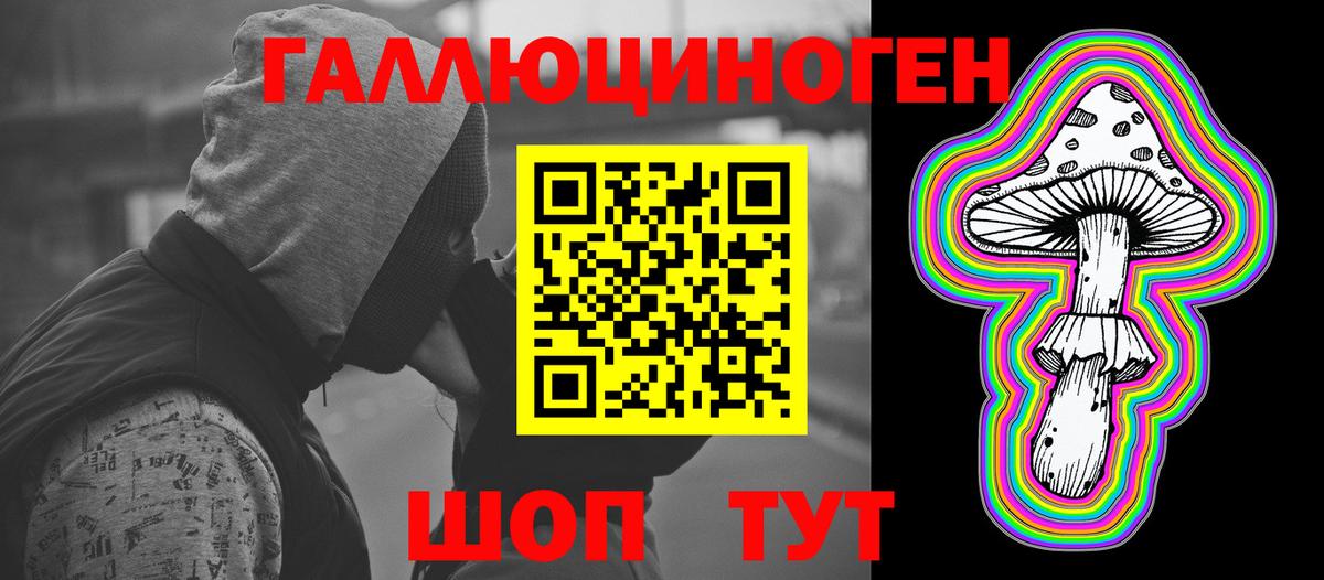 Горно-Алтайск  Галлюциногенные грибы Cubensis  Вход с VPN 